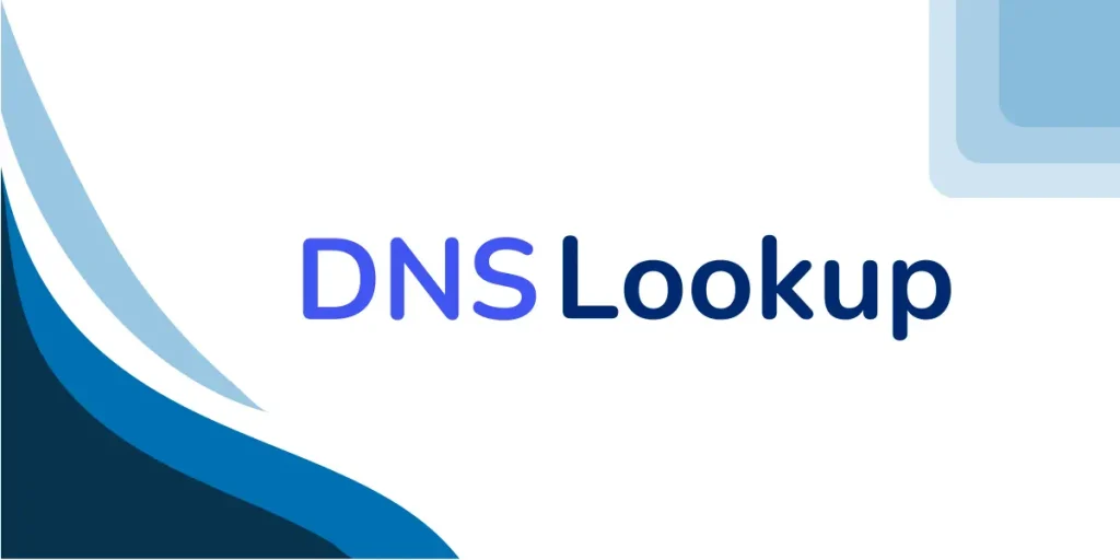 full description of DNS Lookup